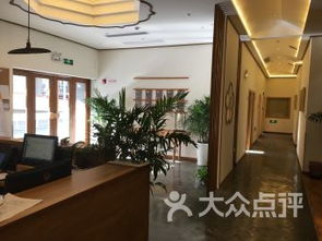 上海金橋醫(yī)院 融合現(xiàn)代醫(yī)療與中醫(yī)精髓，構(gòu)筑全方位健康服務體系